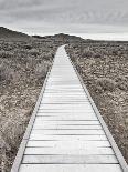 Boardwalk through the desert-David Madison-Photographic Print