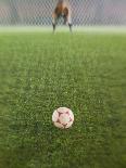 Goalie Anticipating Soccer Kick-David Madison-Photographic Print