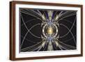 Brown Frame