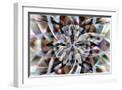 White Frame