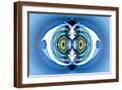 Brown Frame