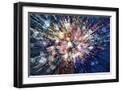 Black Frame
