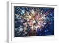 White Frame