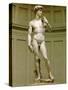 David. Marble statue (after 1501).-Michelangelo Buonarroti-Stretched Canvas