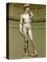 David. Marble statue (after 1501).-Michelangelo Buonarroti-Stretched Canvas