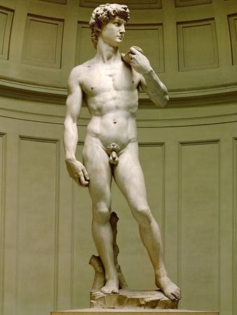 https://imgc.allpostersimages.com/img/posters/david-marble-statue-after-1501_u-L-Q1HQ88O0.jpg?artPerspective=n