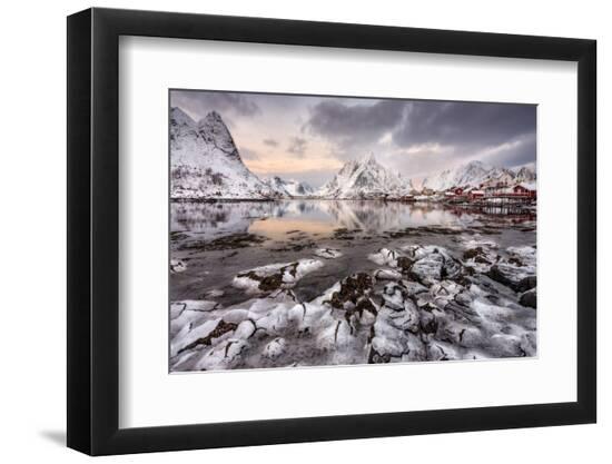 Premium Photographic Print, , large