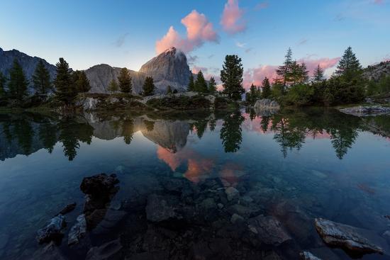 Premium Photographic Print, , large