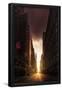 Essential Black