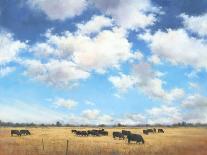 Big Sky Country-David Marty-Giclee Print