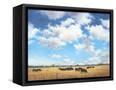 Canvas Black