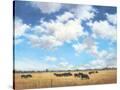Stretched Canvas