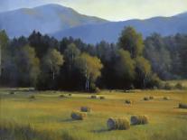 Across the Field-David Marty-Giclee Print