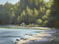 Hidden Cove-David Marty-Giclee Print