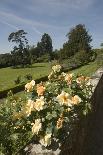 Berkeley Castle Gloucestershire-david martyn-Stretched Canvas