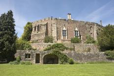 Berkeley Castle Gloucestershire-david martyn-Stretched Canvas