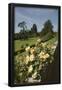 Essential Black