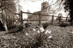 Berkeley Castle Gloucestershire-david martyn-Photographic Print