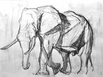 African elephant, 2021 (crayon on paper)-David Mayer-Framed Giclee Print