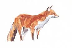 Fox, 2021 (crayon and watercolour on paper)-David Mayer-Framed Giclee Print