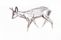 Roe Deer Young, 2021 (crayon on paper)-David Mayer-Framed Giclee Print