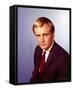 David McCallum-null-Framed Stretched Canvas