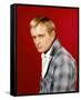 David McCallum-null-Framed Stretched Canvas