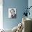 David McCallum-null-Photo displayed on a wall