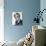 David McCallum-null-Photo displayed on a wall