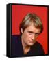 David McCallum-null-Framed Stretched Canvas