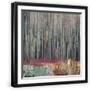 Black Frame