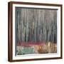 Brown Frame