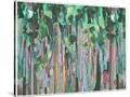 Stretched Canvas