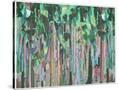 Stretched Canvas