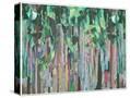 Stretched Canvas