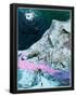 Essential Black