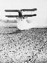 Laminate