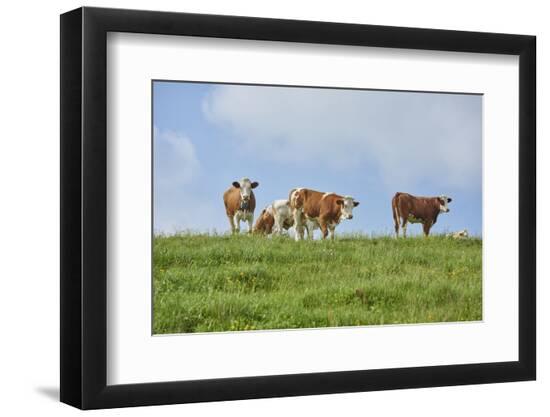 Premium Photographic Print, , large