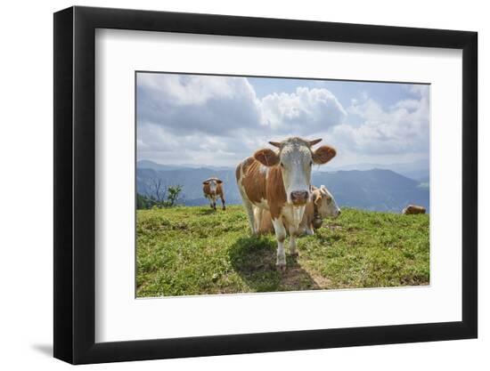 Premium Photographic Print, , large