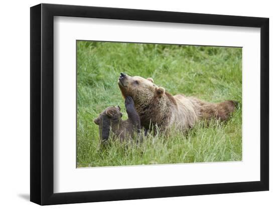 Photographic Print, , large