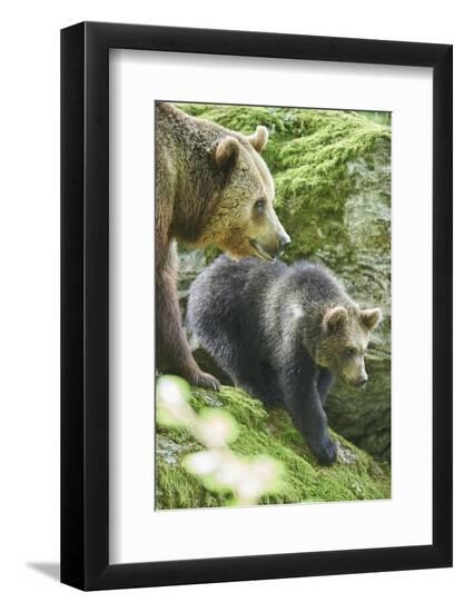 Premium Photographic Print, , large