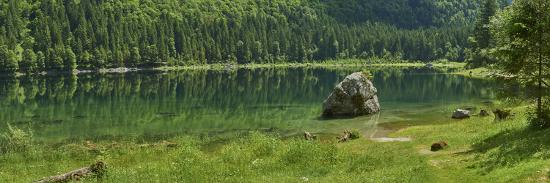 Photographic Print, , large