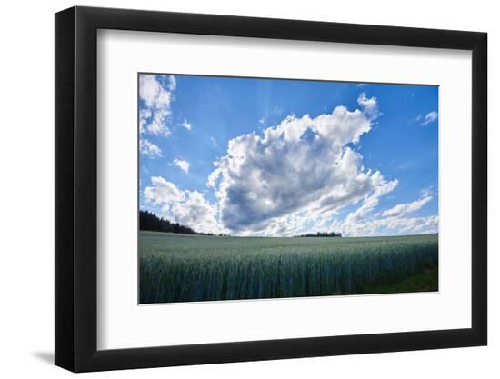 Premium Photographic Print, , large