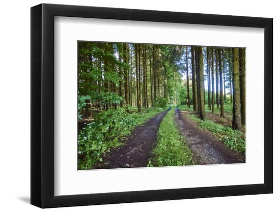 Premium Photographic Print, , large