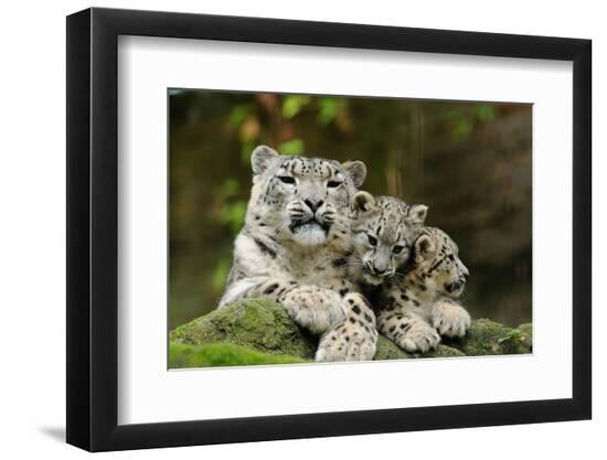 Premium Photographic Print, , large