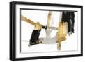 Black Frame