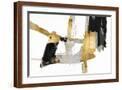 Brown Frame