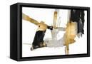 Canvas Black