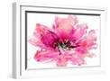 White Frame