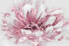 Abstract Floral Pink-David Moore-Art Print